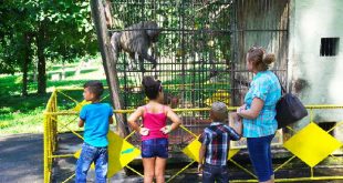 sancti spiritus, zoologico espirituano, el bosque