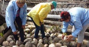 sancti spiritus, flora y fauna, mujeres, dia internacional de la mujer