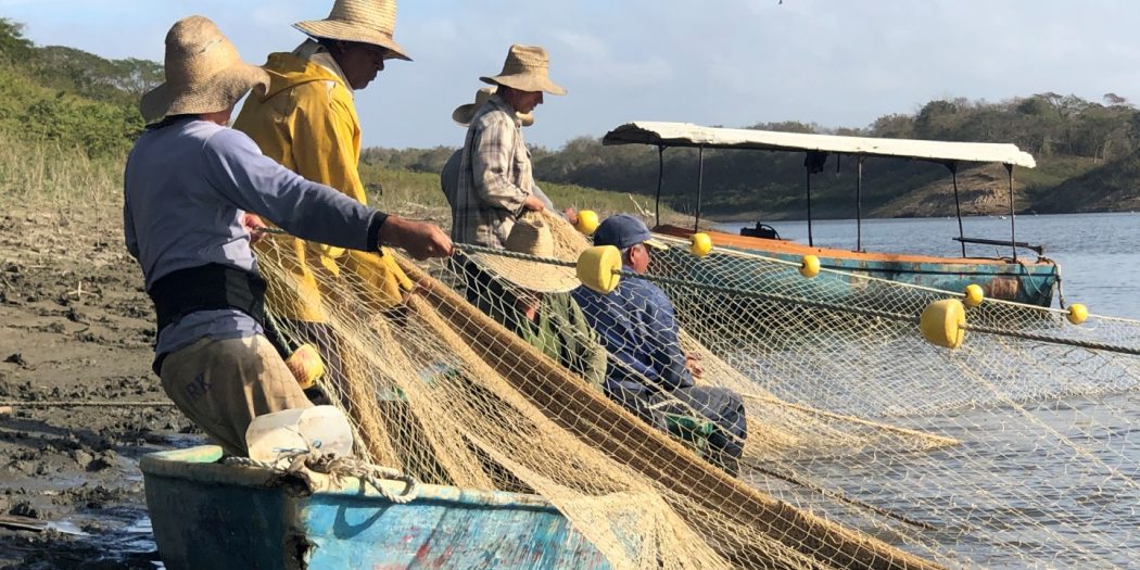 Acuicultura, pesca, presa Zaza