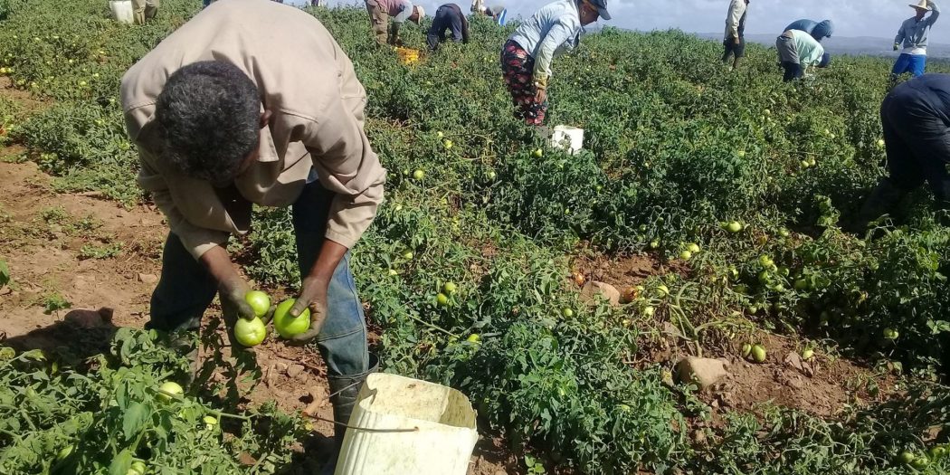 pRODUCCIÓN AGROPECUARIA, ALIMENTOS, aNAP