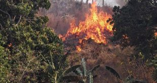 cuba, incendios forestales, guardabosques