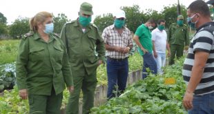 sancti spiritus, coronavirus, covid-19, consejo de defensa, produccion de alimentos, salud publica