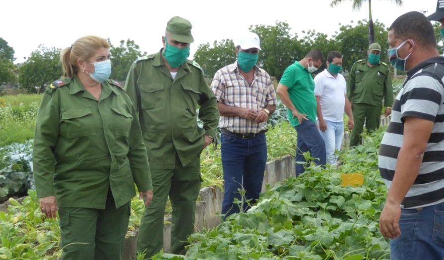 sancti spiritus, coronavirus, covid-19, consejo de defensa, produccion de alimentos, salud publica