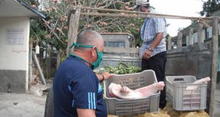 Anap, campesinos, producción de alimentos