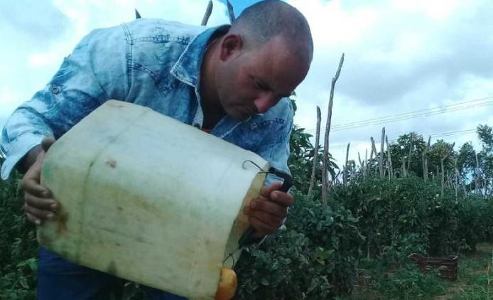 sancti spiritus, dia del campesino, campesinos espirituanos, agricultura, produccion de alimentos