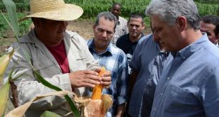 cuba, miguel diaz-canel, presidente de cuba, dia del campesino, campesinos espirituanos, agricultura, produccion de alimentos