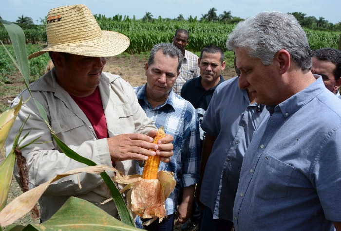 cuba, miguel diaz-canel, presidente de cuba, dia del campesino, campesinos espirituanos, agricultura, produccion de alimentos