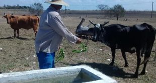 sancti spiritus, dia del campesino, campesinos espirituanos, agricultura, produccion de alimentos