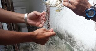 Pesca, inspección, ordenamiento, Sancti Spíritus