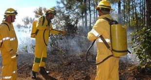 cuba, incendios forestales, desastres naturales, medio ambiente, guardabosques