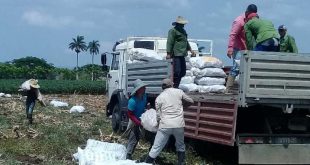 sancti spiritus, coronavirus, produccion de alimentos, covid-19, salud publica