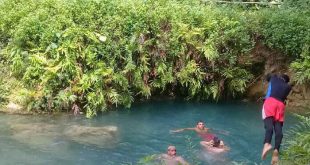 sancti spiritus, flora y fauna, verano, etapa estival, rancho querete, yaguajay