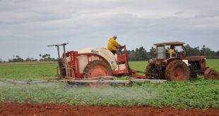 sancti spiritus, sanidad vegetal, agricultura, medios biologicos