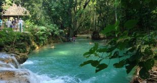 Flora y Fauna, turismo, naturaleza, Rancho Querete