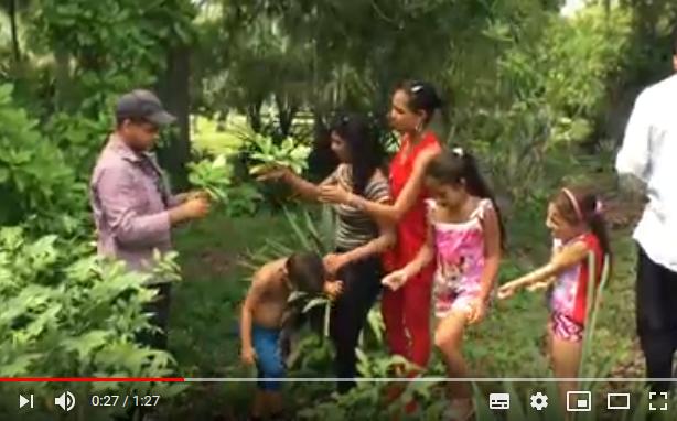 sancti spiritus, jardin botanico, verano, etapa estival