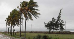 Tormenta Tropical, Isaías, Meteorología