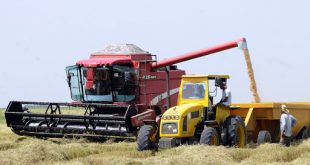 Arroz, inversiones, Agricultura, Cuba