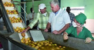 la sierpe, sur del jibaro, empresa agroindustrial de granos sur del jibaro, arrocera, exportaciones