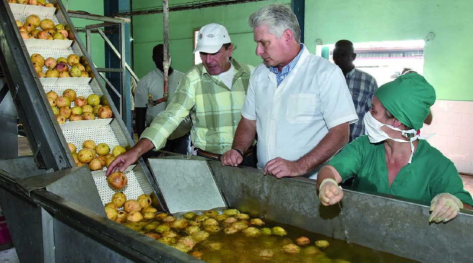 la sierpe, sur del jibaro, empresa agroindustrial de granos sur del jibaro, arrocera, exportaciones