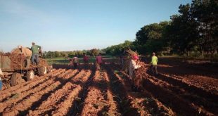 Jóvenes, Fidel Castro, Sancti Spíritus, La Sierpe