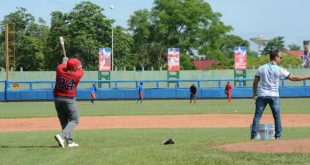 entrenamiento de los gallos