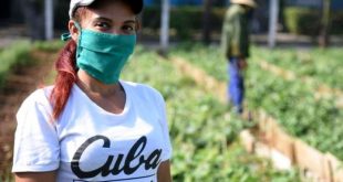 cuba, fmc, raul castro, federacion de mujeres cubanas, vilma espin