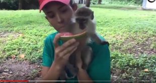 sancti spiritus, zoologico espirituano, el bosque