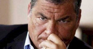 ecuador, rafael correa, union por la esperanza, andres arauz