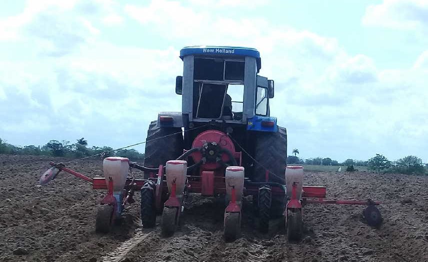 sancti spiritus, produccion de alimentos, agricultura, siembra, agricultura