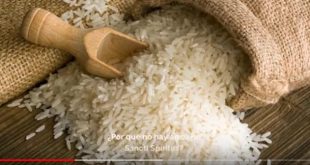 sancti spiritus, arroz, cosecha arrocera, empresa agroindustrial de grnos sur del jibaro, canasta basica