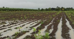 sancti spiritus, lluvias en sancti spiritus, desastres naturales, defensa civil, consejo de defensa, ciclones