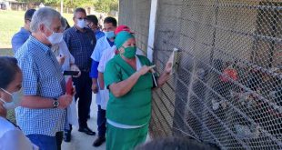 cuba, miguel diaz-canel, presidente de la republica de cuba, isla de la juventud, visita gubernamental