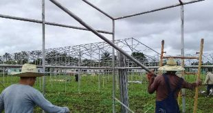 yaguajay, autoabastecimiento territorial, vegetales, hortalizas, fondo cubano de bienes culturales, casas de cultivo