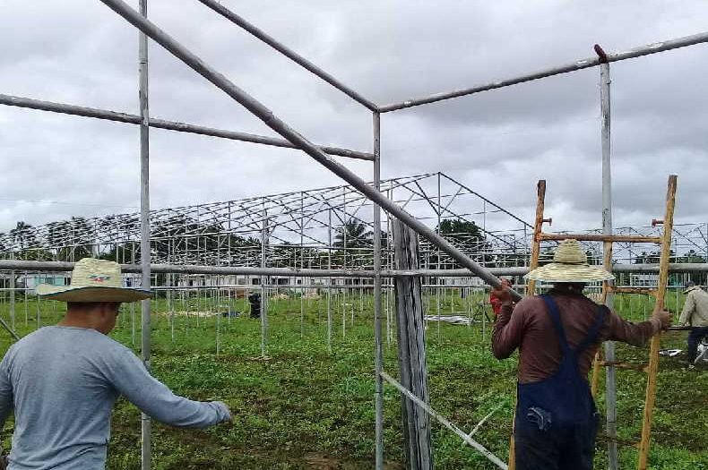 yaguajay, autoabastecimiento territorial, vegetales, hortalizas, fondo cubano de bienes culturales, casas de cultivo