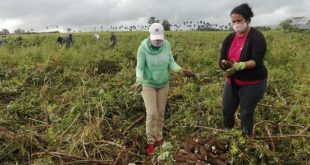 sancti spiritus, tormenta tropical eta, desastres naturales, consejo de defensa, intensas lluvias en sancti spiritus, lluvias en sancti spiritus, revolucion cubana