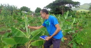 sancti spiritus, sanidad venetal, agricultura sancti spiritus, medios biologicos