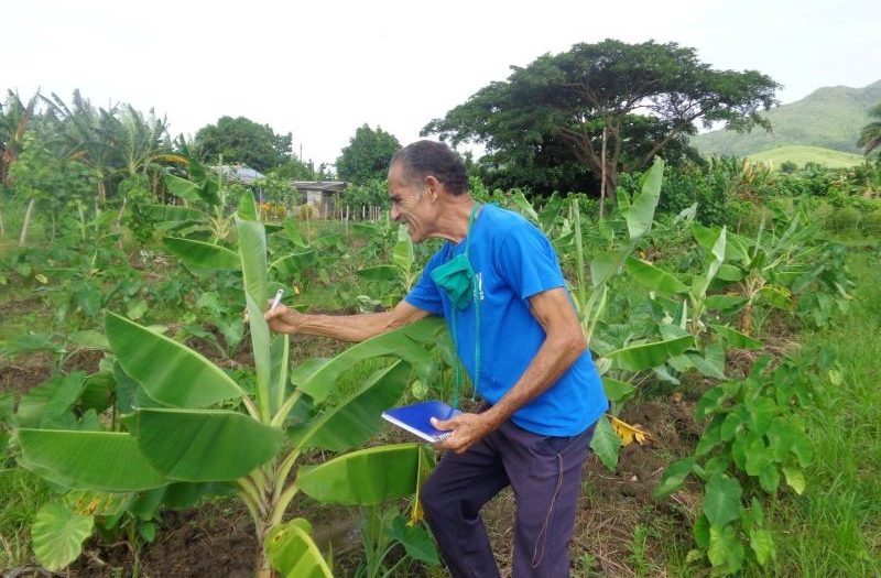 sancti spiritus, sanidad venetal, agricultura sancti spiritus, medios biologicos