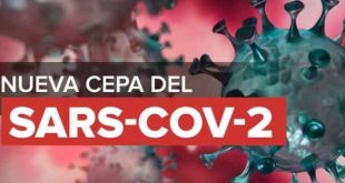 reino unido, sars-cov-2, coronavirus