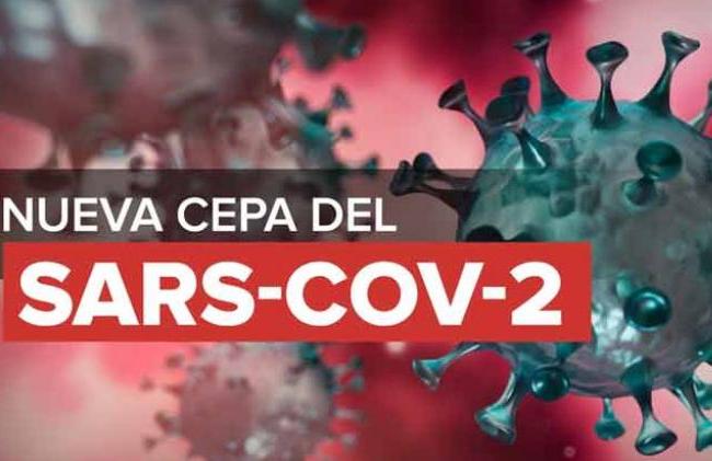 reino unido, sars-cov-2, coronavirus
