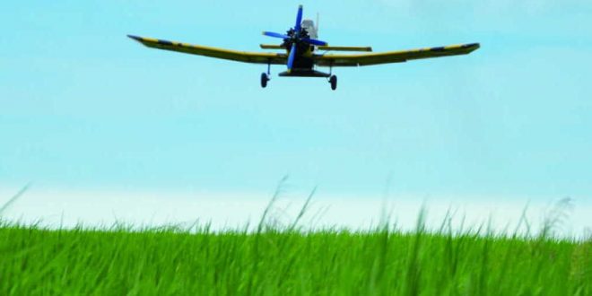 Cerca del 20 por ciento del tiempo que están los aviones en el aire son horas improductivas, o sea, se ocupa en la ida y la vuelta. (Foto: Vicente Brito/ Escambray)