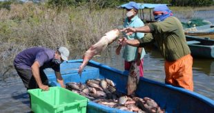 sancti spiritus, pesca, trea ordenamiento, precios, salarios, cultizaza, pescaspir