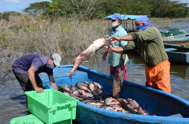 sancti spiritus, pesca, trea ordenamiento, precios, salarios, cultizaza, pescaspir