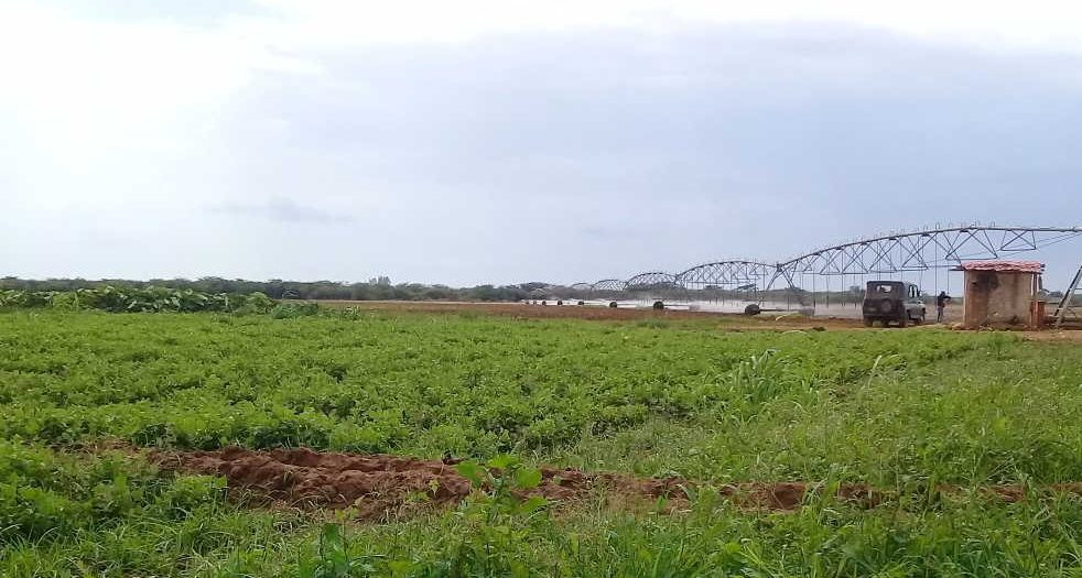 sancti spiritus, hechos delictivos, empresa agropecuaria banao, contraloria