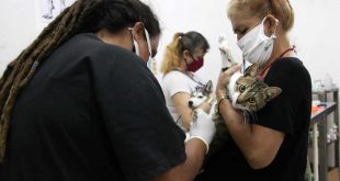 sancti spiritus, dia de la medicina veterinaria, animales, veterinaria, proteccion animal