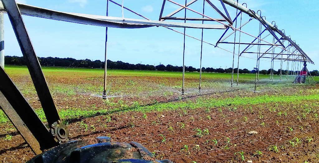 sancti spiritus, agricultura, suelos, produccion de alimentos