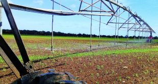 sancti spiritus, agricultura, suelos, produccion de alimentos