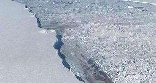 antartida, iceberg, cambio climatico, medio ambiente