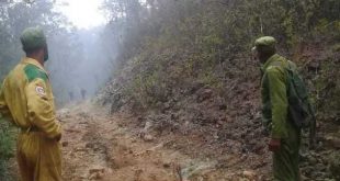 cuba, holguin, guantanamo, incendio forestales, flora y fauna, bomberos