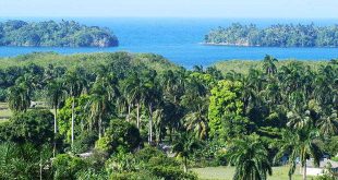 cuba, holguin, guantanamo, incendio forestales, flora y fauna, bomberos