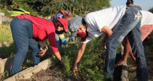 sancti spiritus, trabajo voluntario, primero de mayo, dia del proletariado mundial, dia de los trabajadores